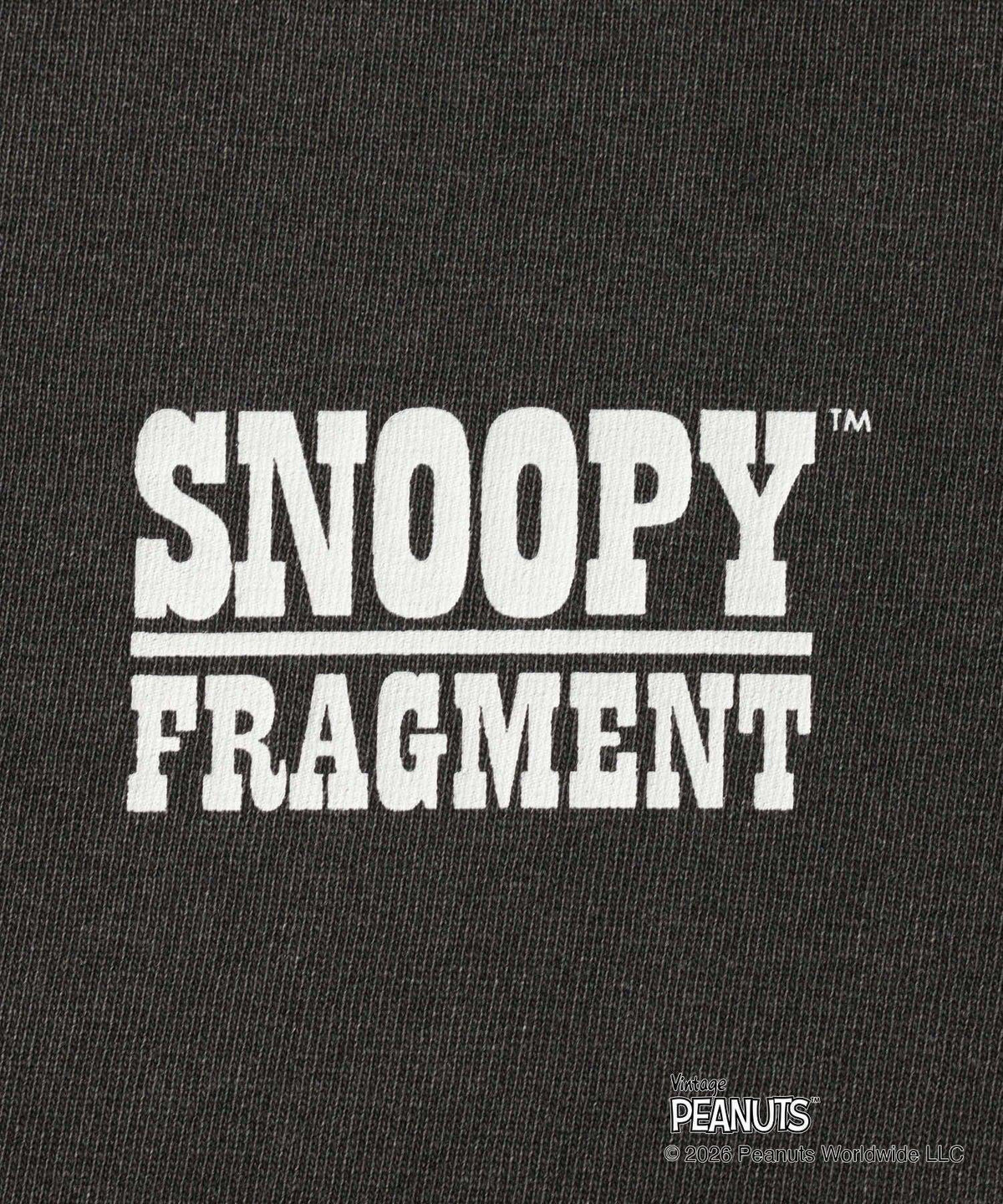 ODORIBA SNOOPY FRAGMENT Tee- V.A. ONLINE STORE