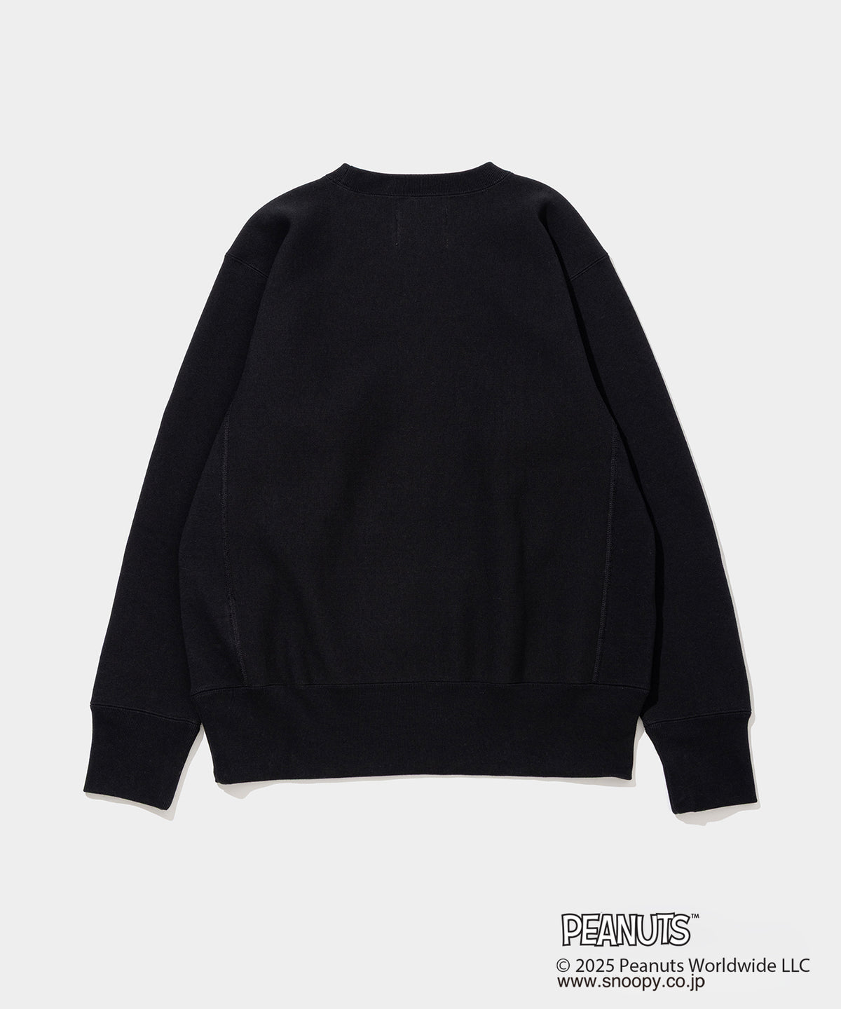Champion C/N Sweat - 011A PEANUTS FRAGMENTS- V.A. ONLINE STORE