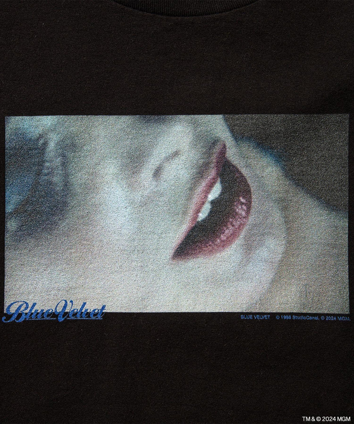 Blue Velvet weber  long-sleeve Tee- V.A. ONLINE STORE