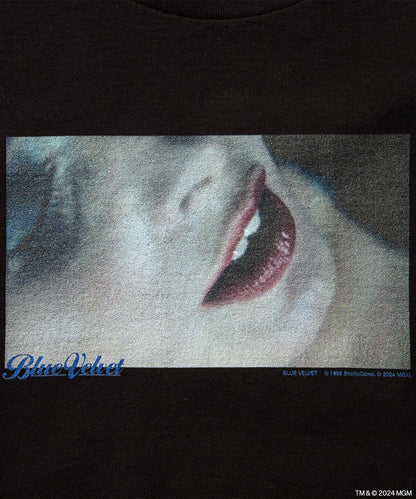 Blue Velvet weber  long-sleeve Tee- V.A. ONLINE STORE