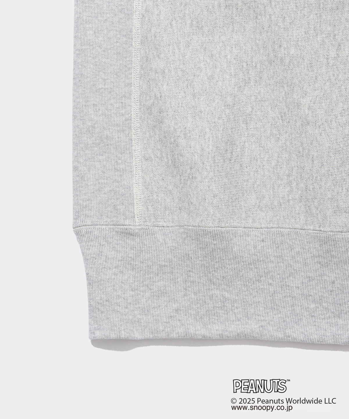 Champion C/N Sweat - 011A PEANUTS FRAGMENTS- V.A. ONLINE STORE