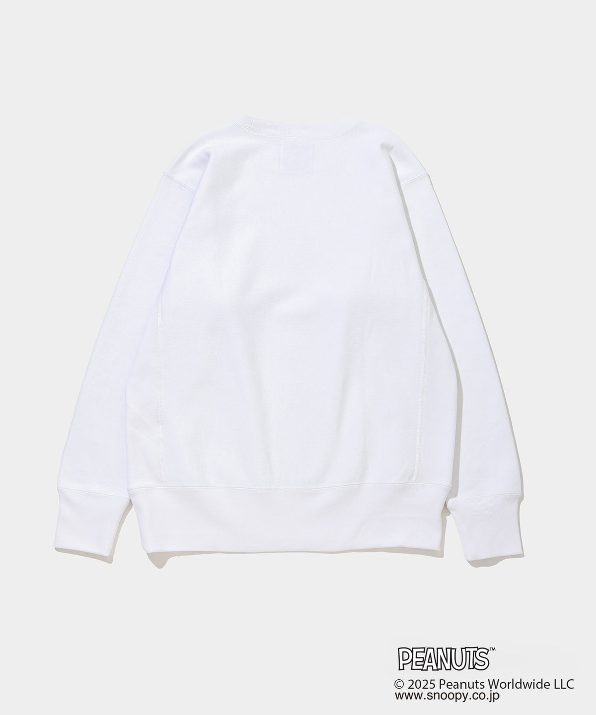 Champion C/N Sweat - 011A PEANUTS FRAGMENTS- V.A. ONLINE STORE
