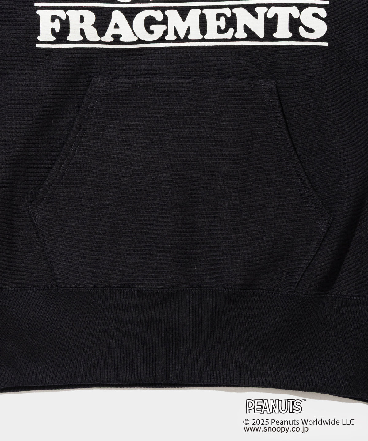 Champion Sweat Hoodie - 011A PEANUTS FRAGMENTS- V.A. ONLINE STORE